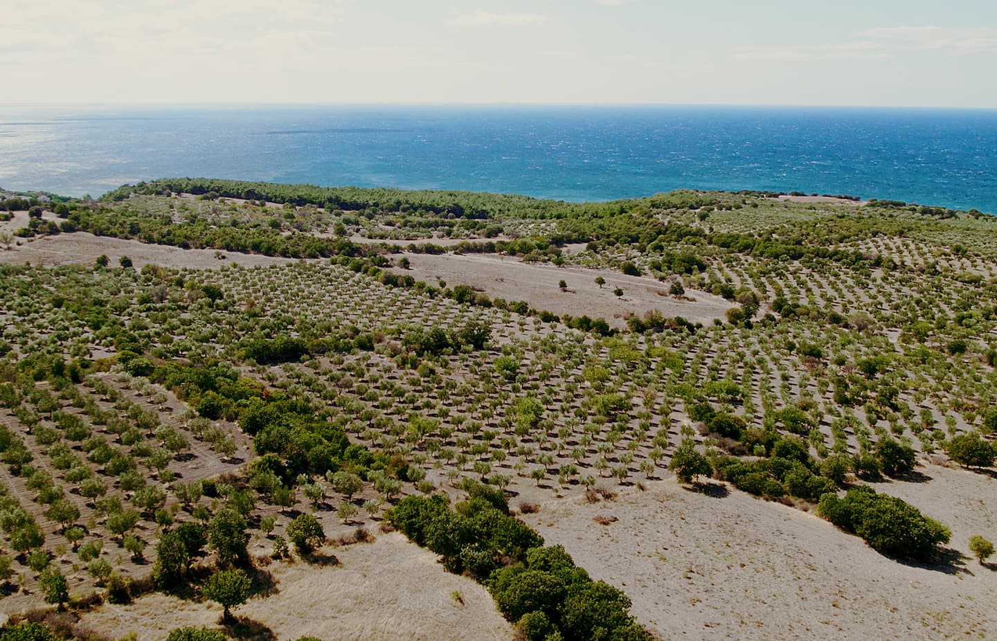 Gurses Arsa Arsa Sahibi Olun Canakkale Ayvacik Kosedere