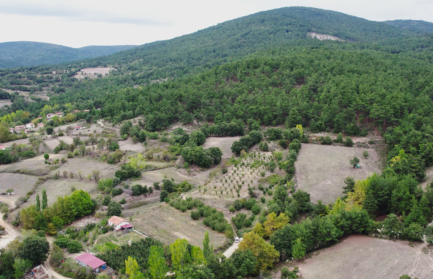 Gurses Arsa Arsa Sahibi Olun Canakkale Bayramic Yesilkoy